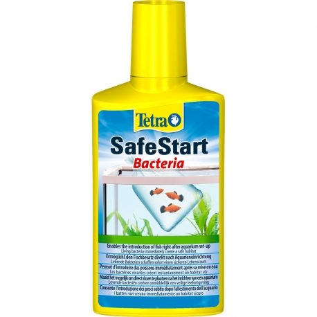 TETRA SafeStart 50 ml bactéries pour un démarrage rapide votre aquarium  d'eau douce - Traitements de l'eau douce/Bactéries de démarrage -   - Aquariophilie