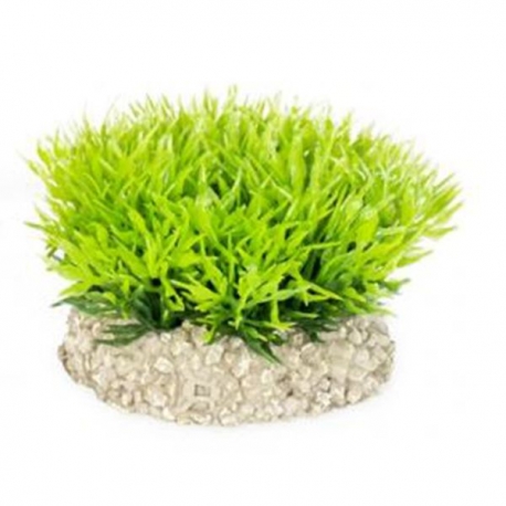 AQUA DELLA Crystalwort Moss Set S verte - Plante artificielle - 5 cm