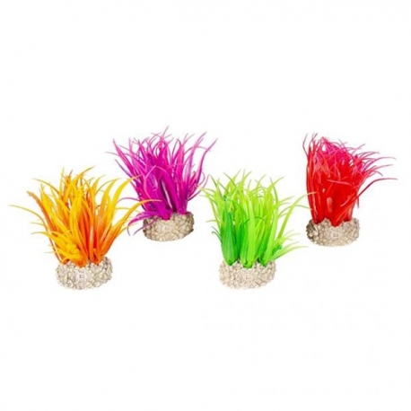 AQUA DELLA Hair Grass Set S - Plante artificielle - Coloris divers - 6 cm