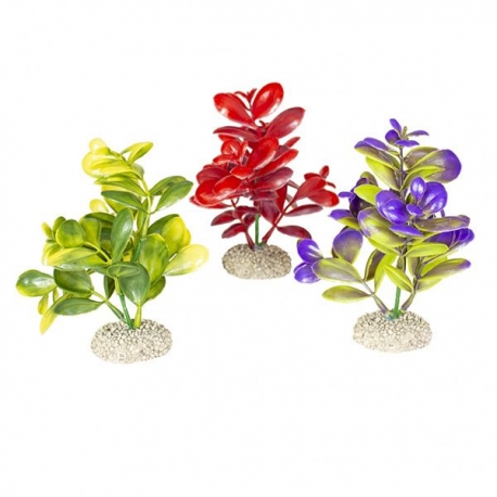 AQUA DELLA Crassula Set M - Plante artificielle - Coloris divers - 16 cm - Vendu à l'unité Aqua Store