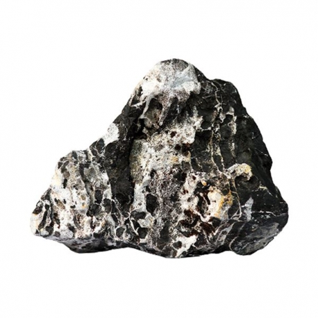 AQUA DECO Leopard Stone - Taille S de 0,8 à 1,2 kg - Vendue à l'unité