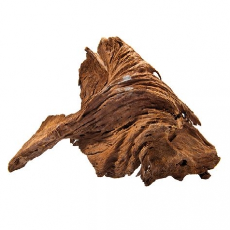 AQUA DECO Racine naturelle Yati Wood pour aquarium - 25 à 35 cm Aqua Store