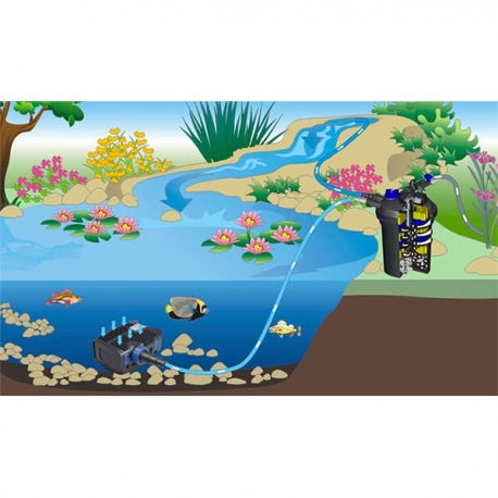 Pack de plantes aquatiques - 13 plantes pour bassin jusque 1000 litres