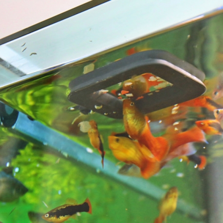 JBL NovoStation, anneau de nourriture pour poissons