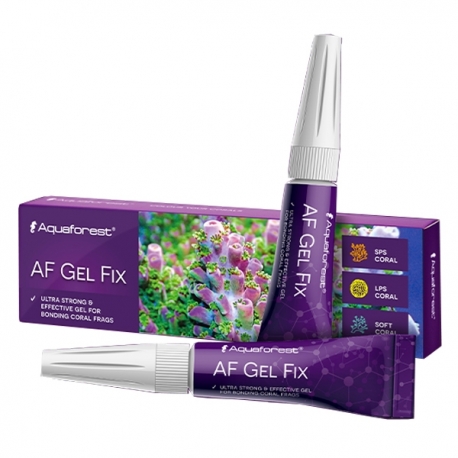 AQUAFOREST AF Gel Fix - 2 x 20 g