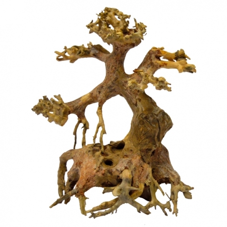 SUPERFISH Arbre Bonsai pour aquarium - Taille XS Aqua Store