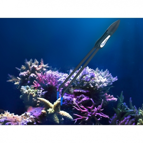 Image 1 - MAXSPECT Tweezers - Pince pour coraux Aqua Store