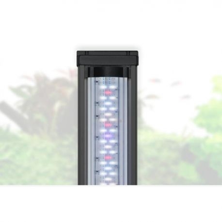 Image 5 - Aquarium AQUATLANTIS Volga 240 gris tout équipé - 296 Litres Aqua Store