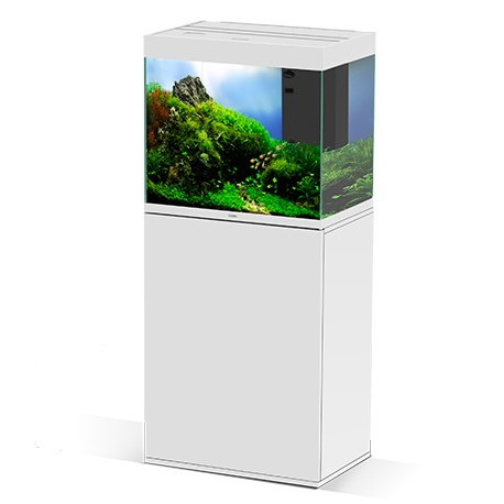 Aquarium CIANO Emotions Pro 60 + Meuble blanc