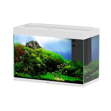 Aquarium CIANO Emotions Pro 80 + Meuble blanc
