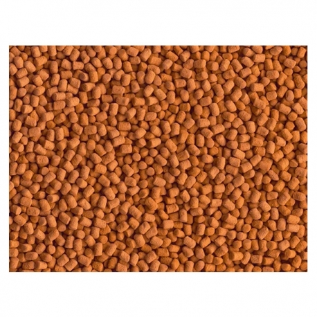 Image 1 - TETRA ReptoMin Energy - 34 g Aqua Store