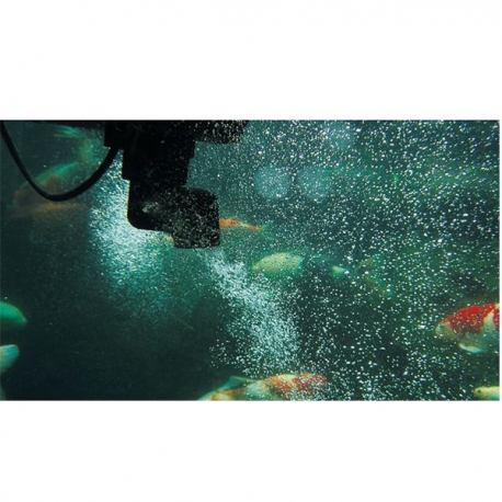Image 3 - OASE SwimSkim 50 - Skimmer flottant avec pompe pour bassin Aqua Store