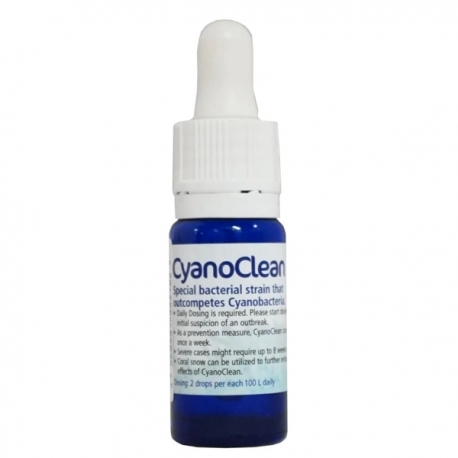 KORALLEN-ZUCHT Cyano Clean - 10ml Aqua Store