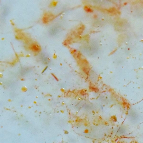 Image 1 - FAUNA MARIN Ocean Plankton - 250 ml Aqua Store