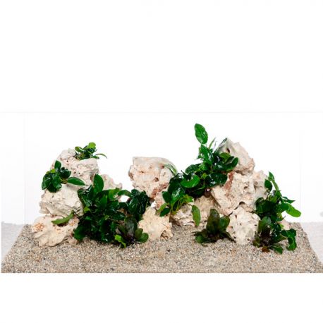 Image 1 - AQUA DECO Multi Holestone Box 80 L - Lot de roches naturelles trouées pour aquarium Aqua Store