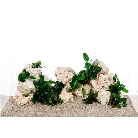 AQUA DECO Multi Holestone Box 60 L - Roches naturelles pour aquarium