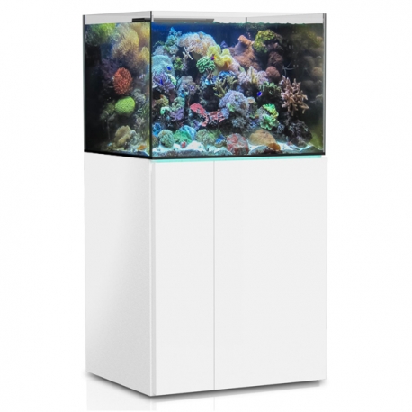 Acheter aquarium eau de mer 350 litres