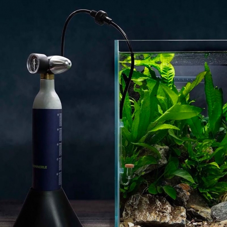 Image 1 - DENNERLE CARBO Soda M200 - Kit CO2 - Rechargeable Aqua Store