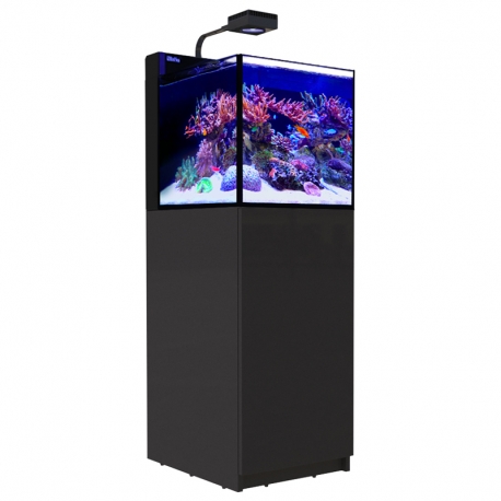 Aquarium RED SEA Max Nano PENINSULA + Meuble noir + Eclairage ReefLED