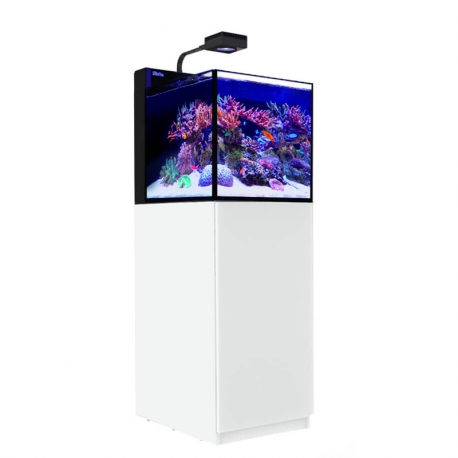 Aquarium RED SEA Max Nano PENINSULA + Meuble noir + Eclairage ReefLED