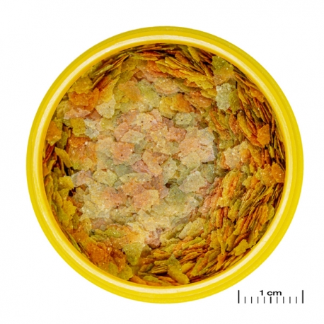 Image 1 - JBL ProNovo Betta Flakes S - 6 g - 20 ml Aqua Store