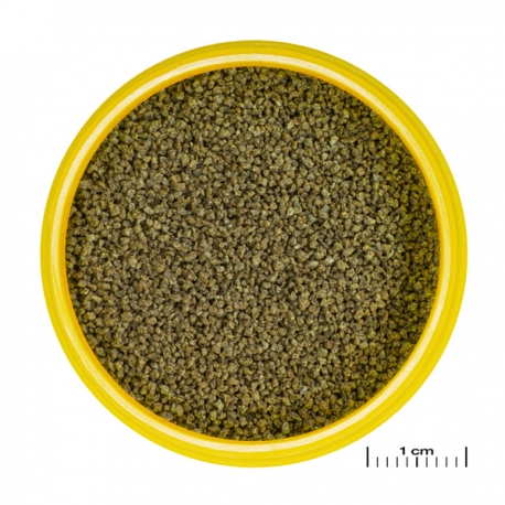 Image 1 - JBL ProNovo Danio Grano XS - 48 g - 100 ml Aqua Store