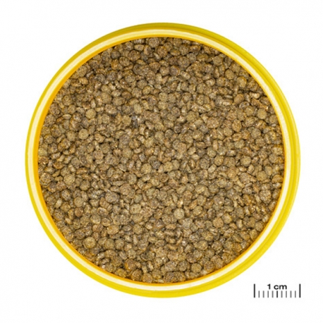 Image 3 - JBL ProNovo Gourami Grano S - 115 g - 250 ml Aqua Store