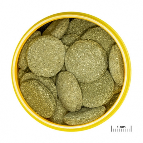 Image 3 - JBL ProNovo Pleco Wafer XL - 510 g - 1000 ml Aqua Store