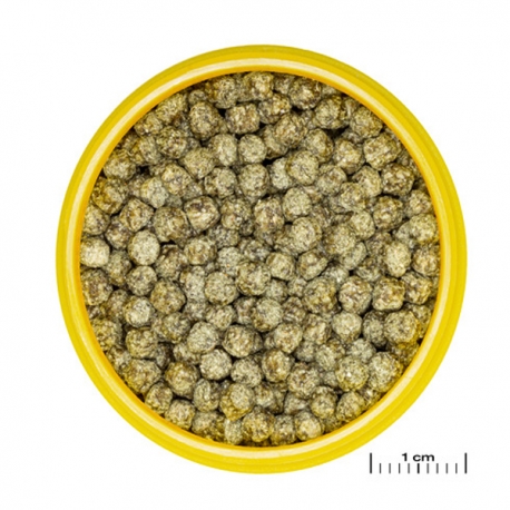 Image 3 - JBL ProNovo Red Grano M - 37 g - 100 ml Aqua Store