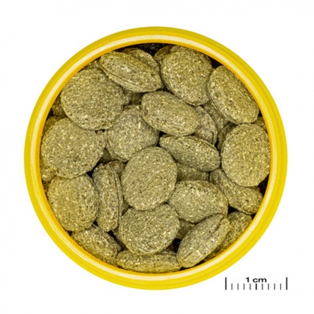 Image 3 - JBL ProNovo Pleco Wafer M - 530 g - 1000 ml Aqua Store