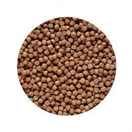 Image 1 - HIKARI Cichlid Gold 1 kg - Nourriture poissons aquarium Aqua Store