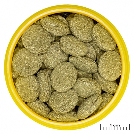 Image 3 - JBL ProNovo Pleco Wafer M - 53 g - 100 ml Aqua Store