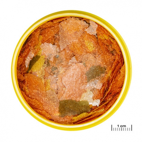 Image 1 - JBL ProNovo Tanganyika Flakes M - 45 g - 250 ml Aqua Store