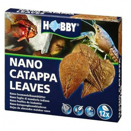 HOBBY Nano Catappa Leaves - Feuilles de badamier x12 Aqua Store