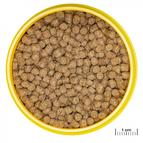 Image 2 - JBL ProNovo Lotl Grano M 250 ml Aqua Store
