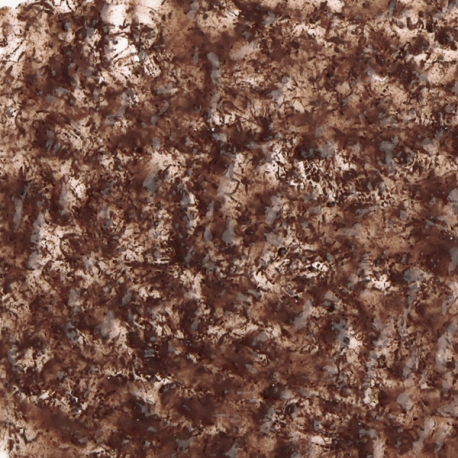 Image 1 - TETRA FreshDelica Blood-Worms Natural Snack - 16 x 3 g - 48 g Aqua Store