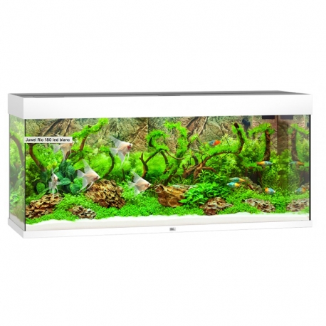 Aquarium Juwel Rio 180 LED Blanc tout équipé - Sans Meuble