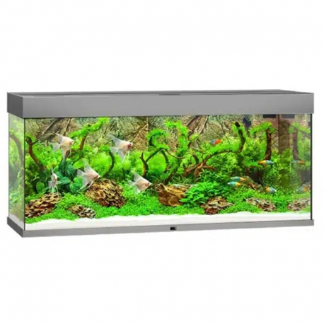 Aquarium Juwel Rio 240 Gris tout équipé - Version LED
