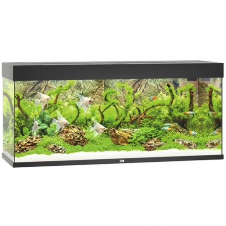 Aquarium Juwel Rio 240 Noir tout équipé - Version LED