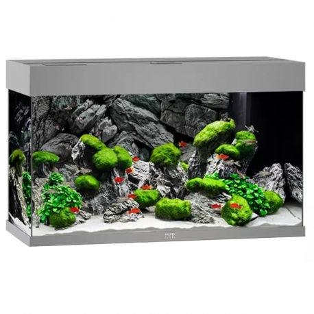 Aquarium Juwel Rio 125 LED Gris tout équipé - Sans Meuble