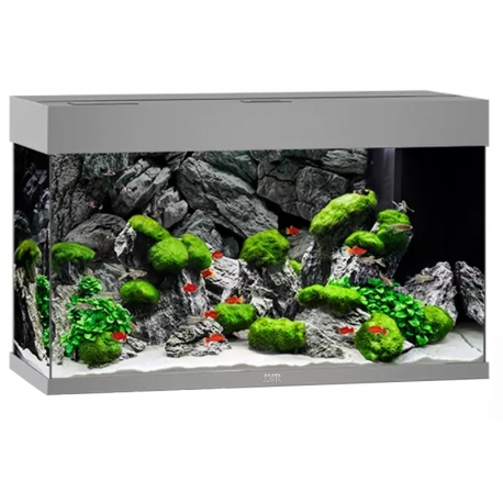 Aquarium Juwel Rio 125 LED Gris tout équipé - Sans Meuble Aqua Store