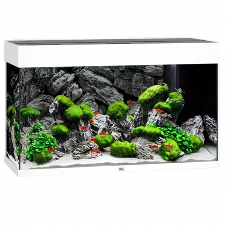 Aquarium Juwel Rio 125 LED Blanc tout équipé - Sans Meuble