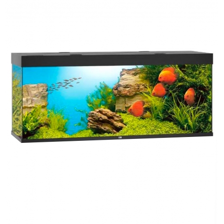 Aquarium JUWEL RIO 450 LED Chêne clair tout équipé - Sans Meuble