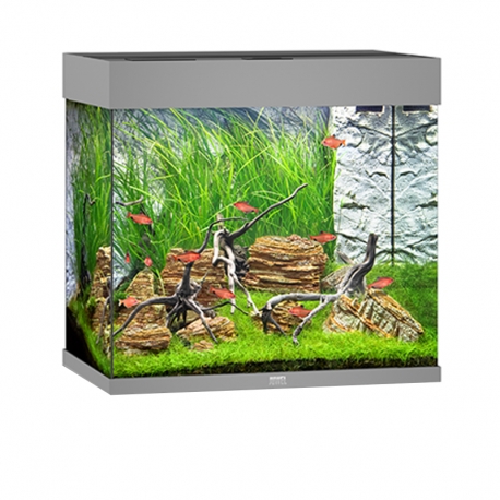Aquarium Juwel Lido 120 LED Gris tout équipé - Sans Meuble Aqua Store