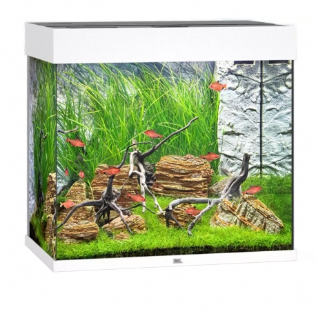Aquarium Juwel Lido 120 LED Gris tout équipé - Sans Meuble Aqua Store
