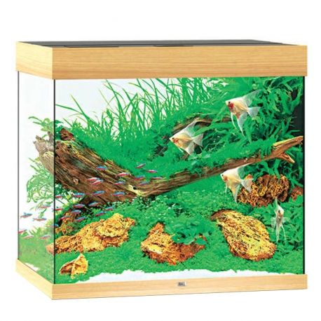 Aquarium Juwel Lido 120 LED Gris tout équipé - Sans Meuble Aqua Store