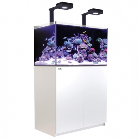 Aquarium RED SEA Reefer 250 G2 + meuble Blanc et éclairage LED Aqua Store