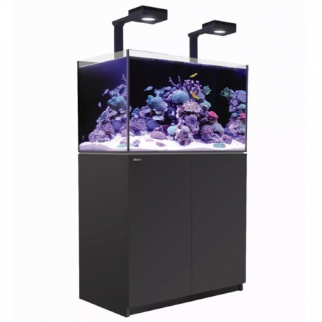 Aquarium RED SEA Reefer 250 G2 + meuble noir et éclairage LED