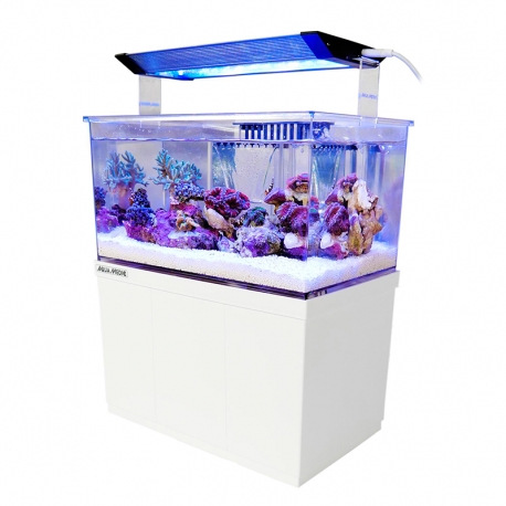 AQUA MEDIC Armatus XS - Micro aquarium