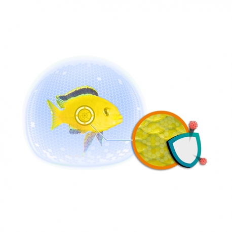 Image 2 - CIANO Fish Protection Dosator - Taille XL Aqua Store